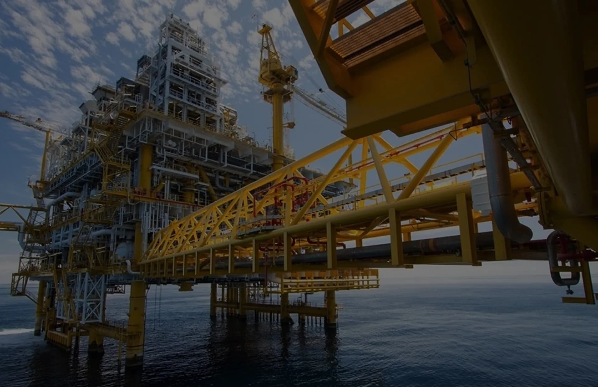 Energy and process industrial plant